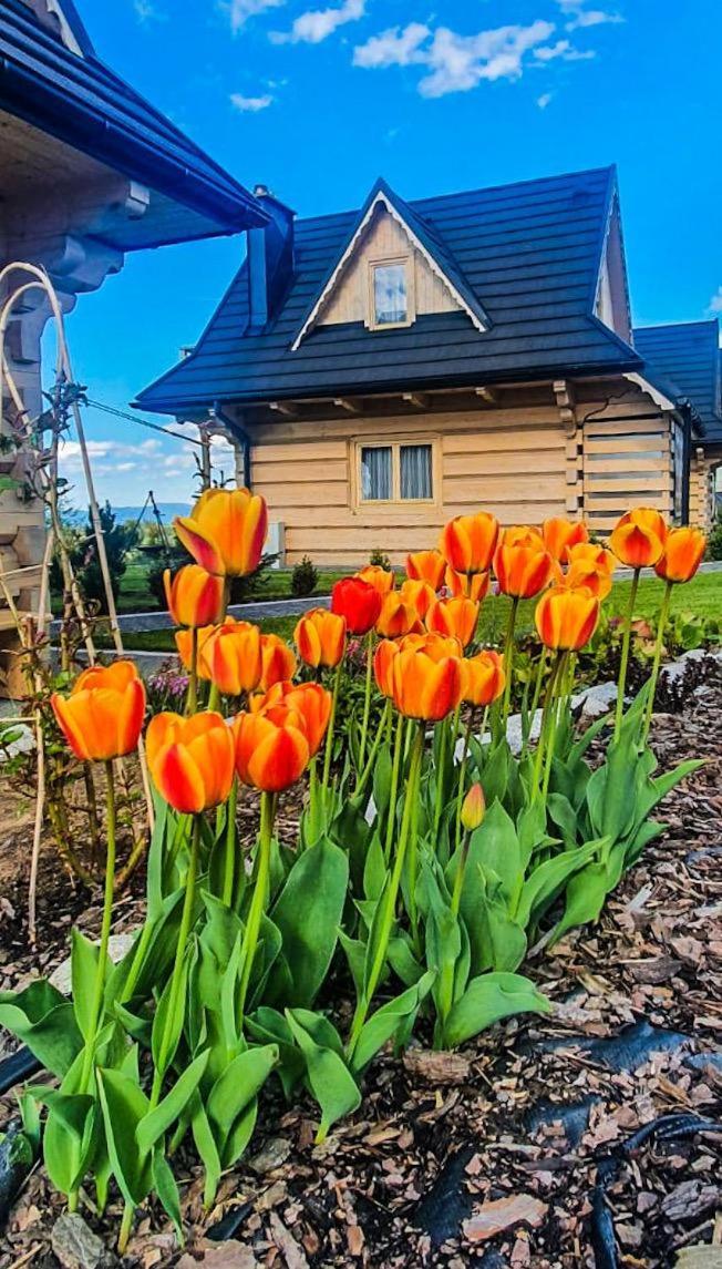 Domki Gorskie Janosik, Kwicol I Pyzdra กลิตชารุฟ ภายนอก รูปภาพ